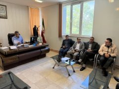 برگزاری جلسه هم‌اندیشی توسعه مشاغل خانگی در فرمانداری دلفان
